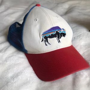 Fitz Roy Bison LoPro Trucker Hat Patagonia